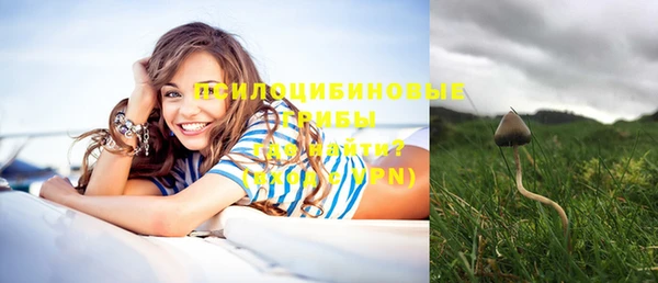 винт Белокуриха