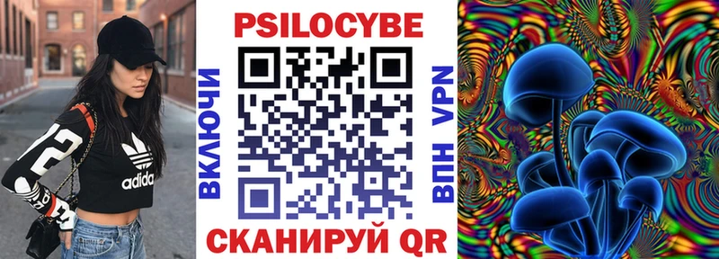 MEGA онион  Свободный  Галлюциногенные грибы Psilocybe  закладки 